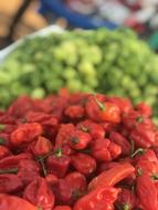 red little pepper