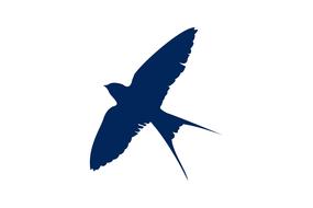 silhouette of a bird on a white background