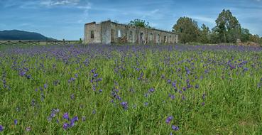 Field House