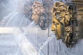 Peterhof Petersburg Fountain