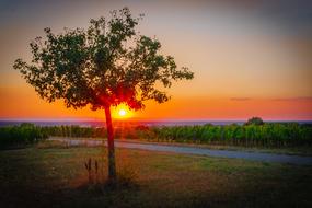 Sunset Landscape Nature