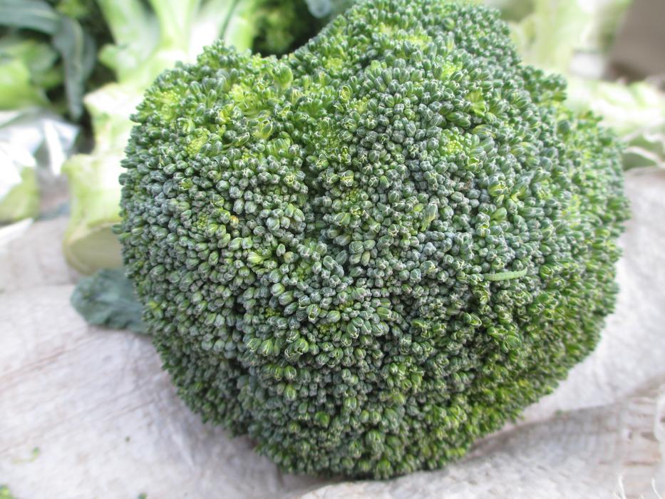 Close up of a green broccoli
