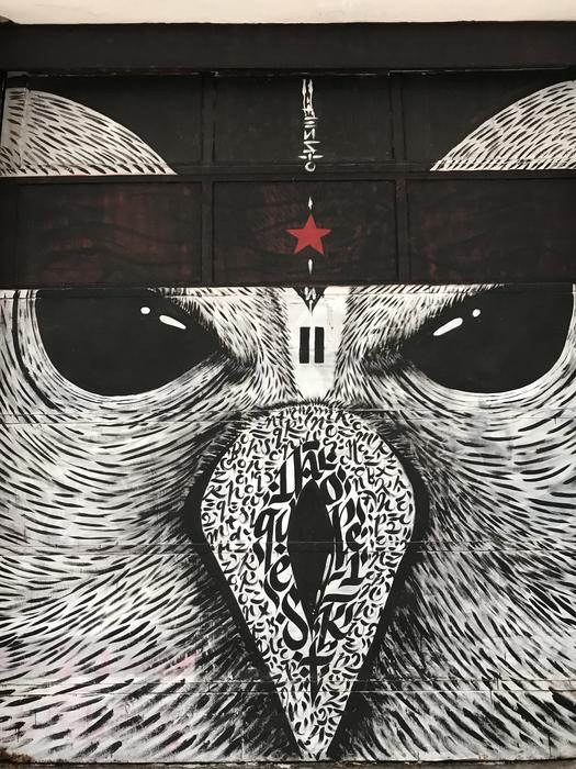 street drawing of an owl on the wall
