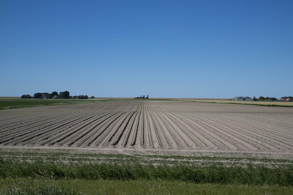 footprints in a farmer field