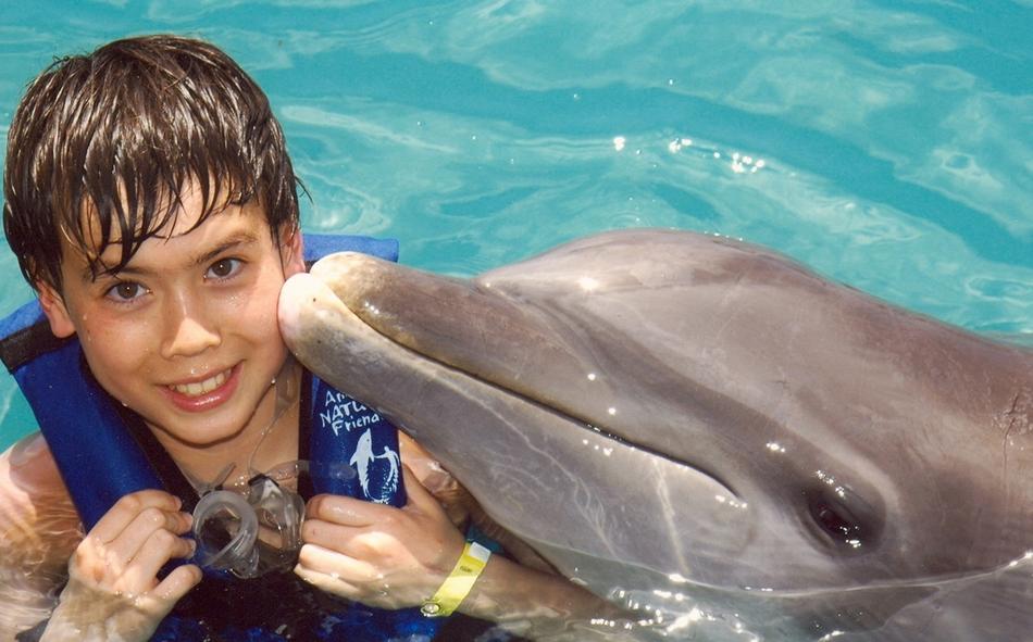 smiling boy and dolphon in the pool