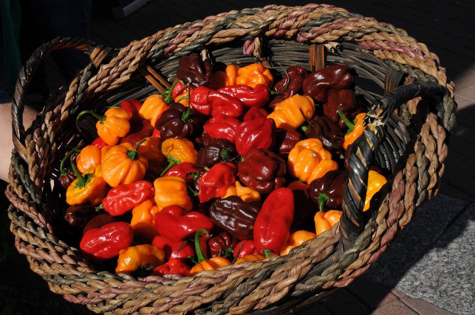Dry peppers in a basket