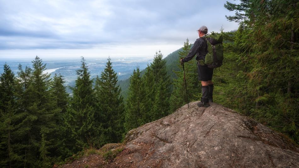 View Man Forest