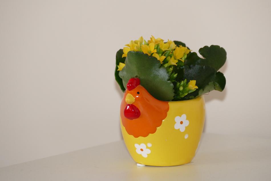 yellow flowers in a pretty vase