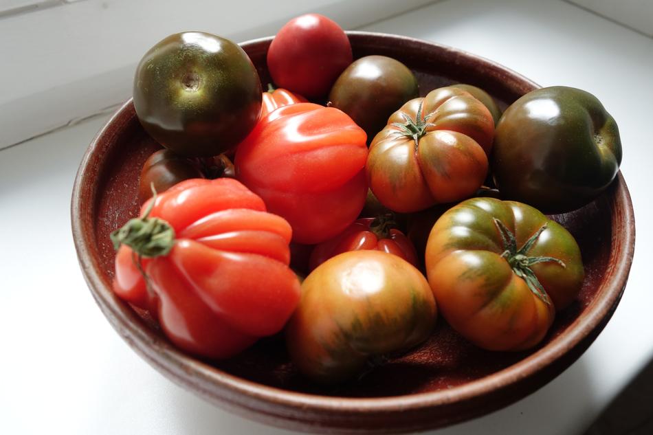 delicious fresh tomatoes on a plate