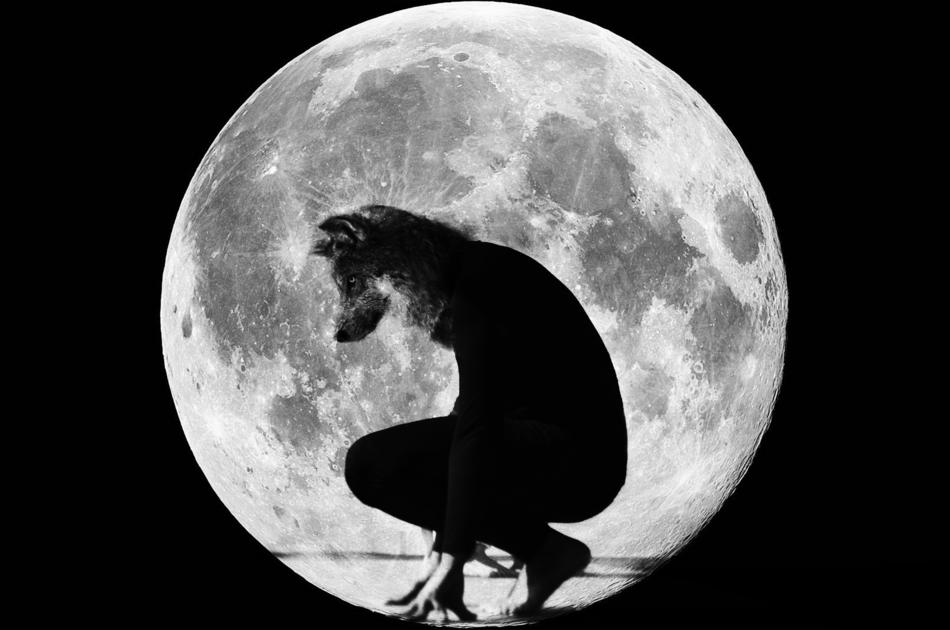 Astronomy Science wolfman at Moon