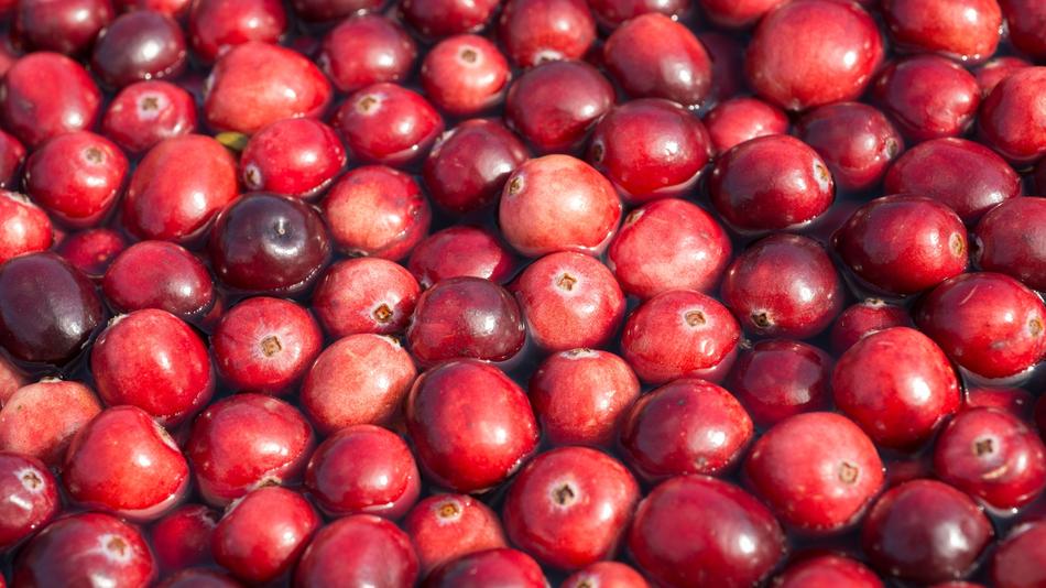 floating fresh cranberries