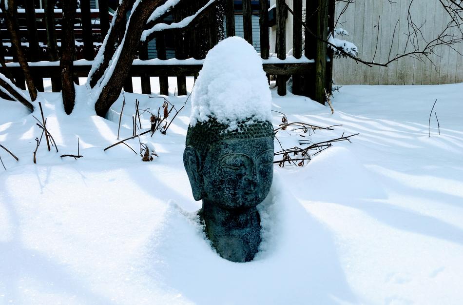 Snow Buddha Winter