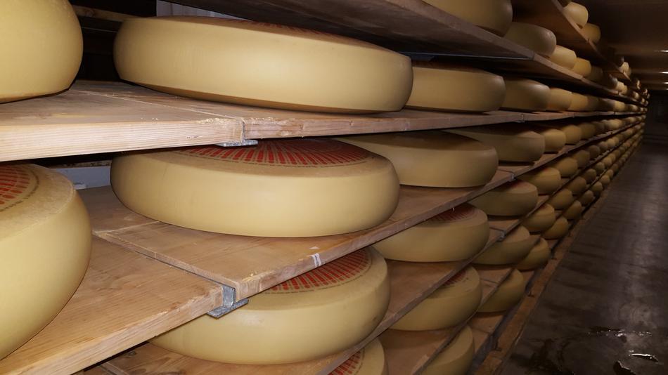 Cheese heads on the shelf