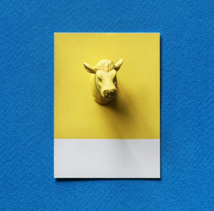 Abstract Animal Background