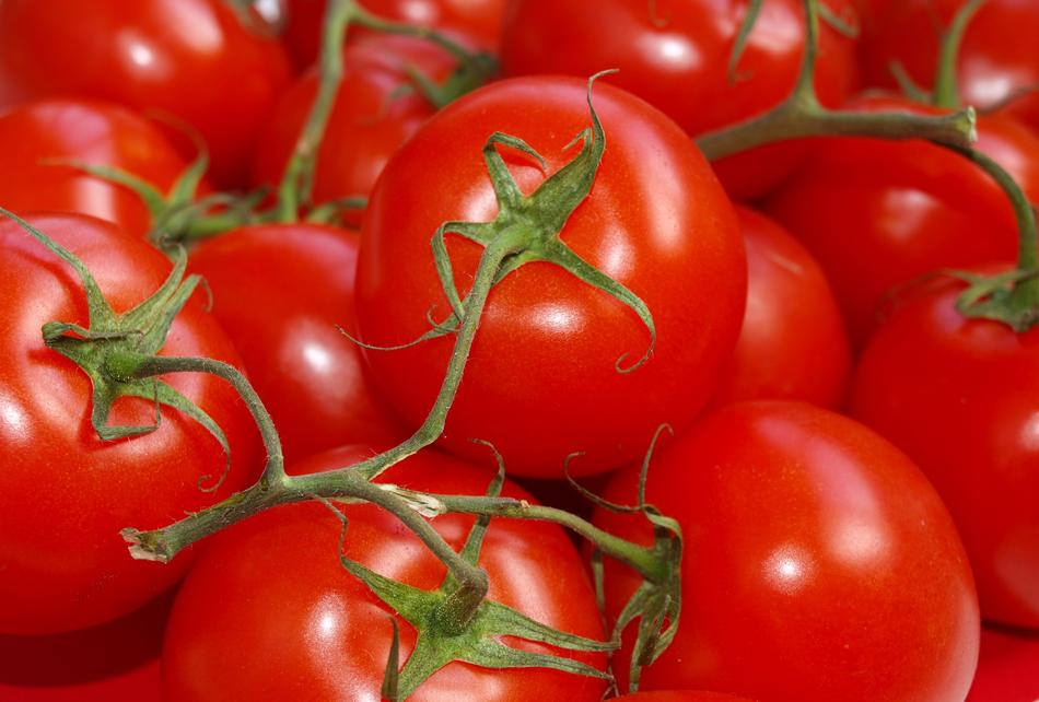 juicy farm tomatoes
