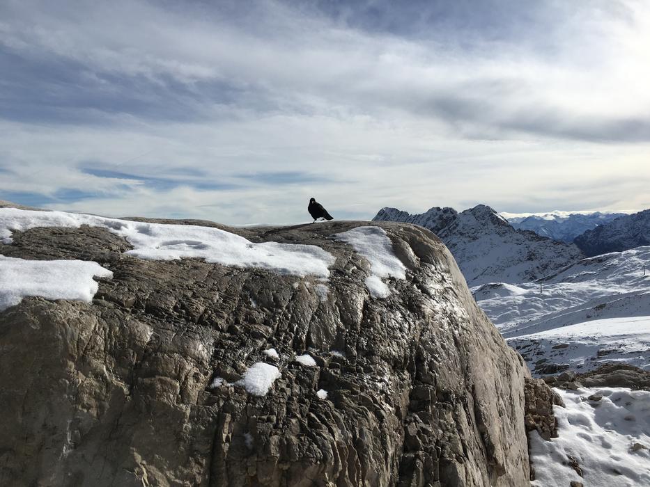 Rock Snow Zugspitze
