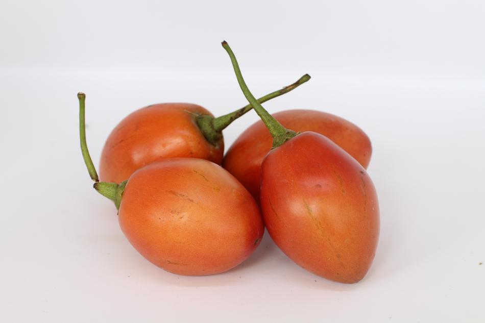 fresh tomatoes on a white background