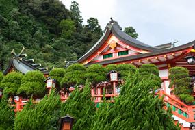 Japan Architecture Shinto Shrine