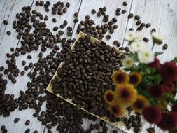 fragrant coffee beans on a background of flowers