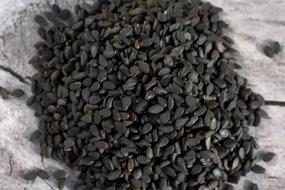 Background Krupnyj Plan Seeds