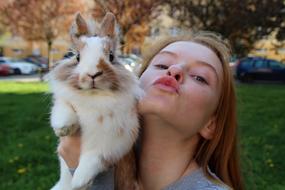 Rabbit and girl kiss