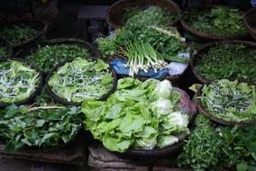 Green garden vegetables for sale