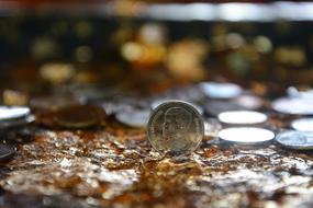 Buddha Pray Make Merit