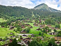 Village Swiss Travel