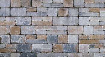 Wall Drywall Stone
