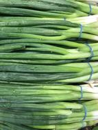 green onions tied