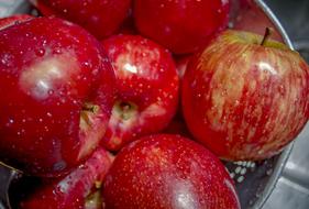 ripe sweet apples in a bowl