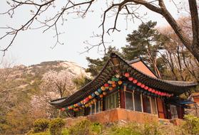 old chinese building on the grass