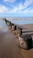 Waters Sea Beach
