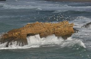 Seagulls Rock
