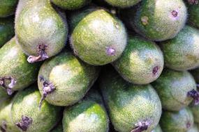 ripe large vegetables