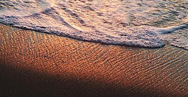 Texture Nature Art