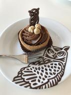chocolate cupcake decorated with an owl