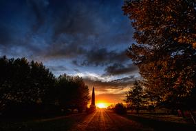 Sunset Tree Outdoors