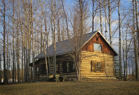 Log Cabin Architecture Forest