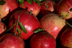 Fresh delicious red fruits