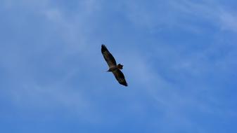 Flight Sky Outdoors