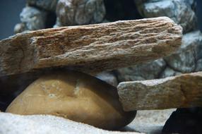 Stones Yellow Gneiss Aquarium