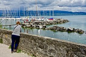 Marina Yachts Moorings