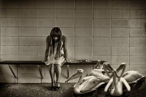 black and white, depressed girl and a flock of pelicans