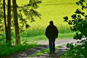 Senior Man Oilseed Rape