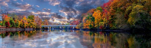 Autumn River Trees panoramic landscape