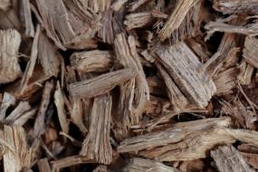 Texture Shavings Wood