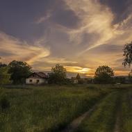 Sunset Landscape Tree