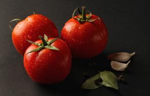 fresh tomatoes in a drop of water