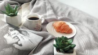 hot coffee and croissants by the flowers